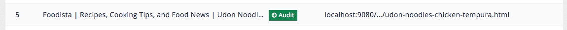 seo-auditor-top-ranked-results-02.png